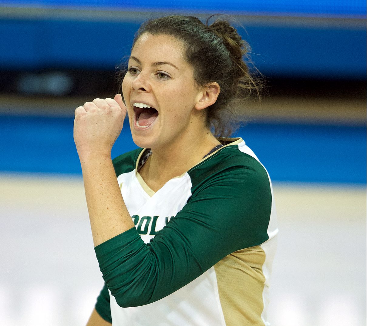 Taylor Nelson neu beim USC