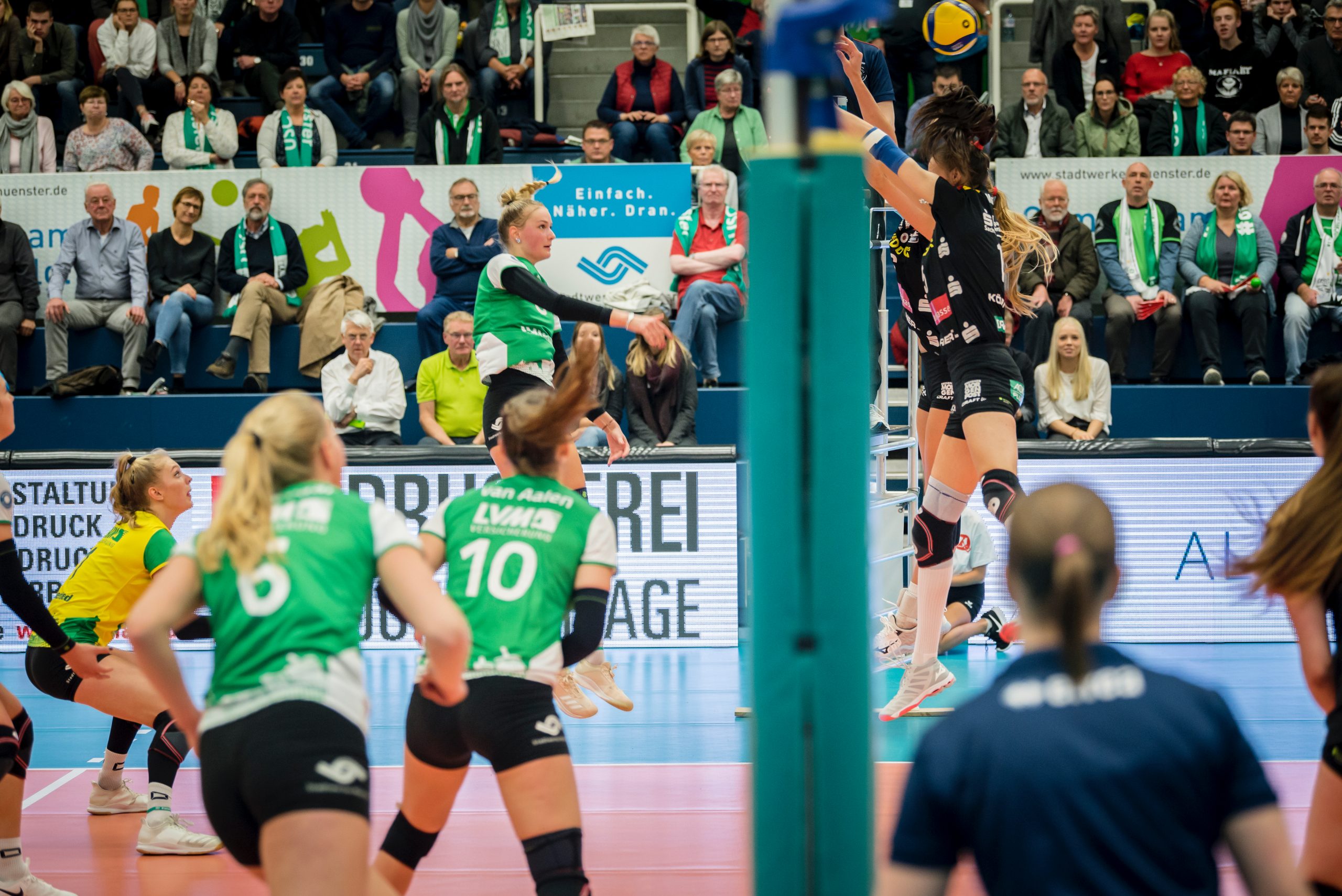 Am 26.02. beim DVV-Pokalsieger Dresdner SC