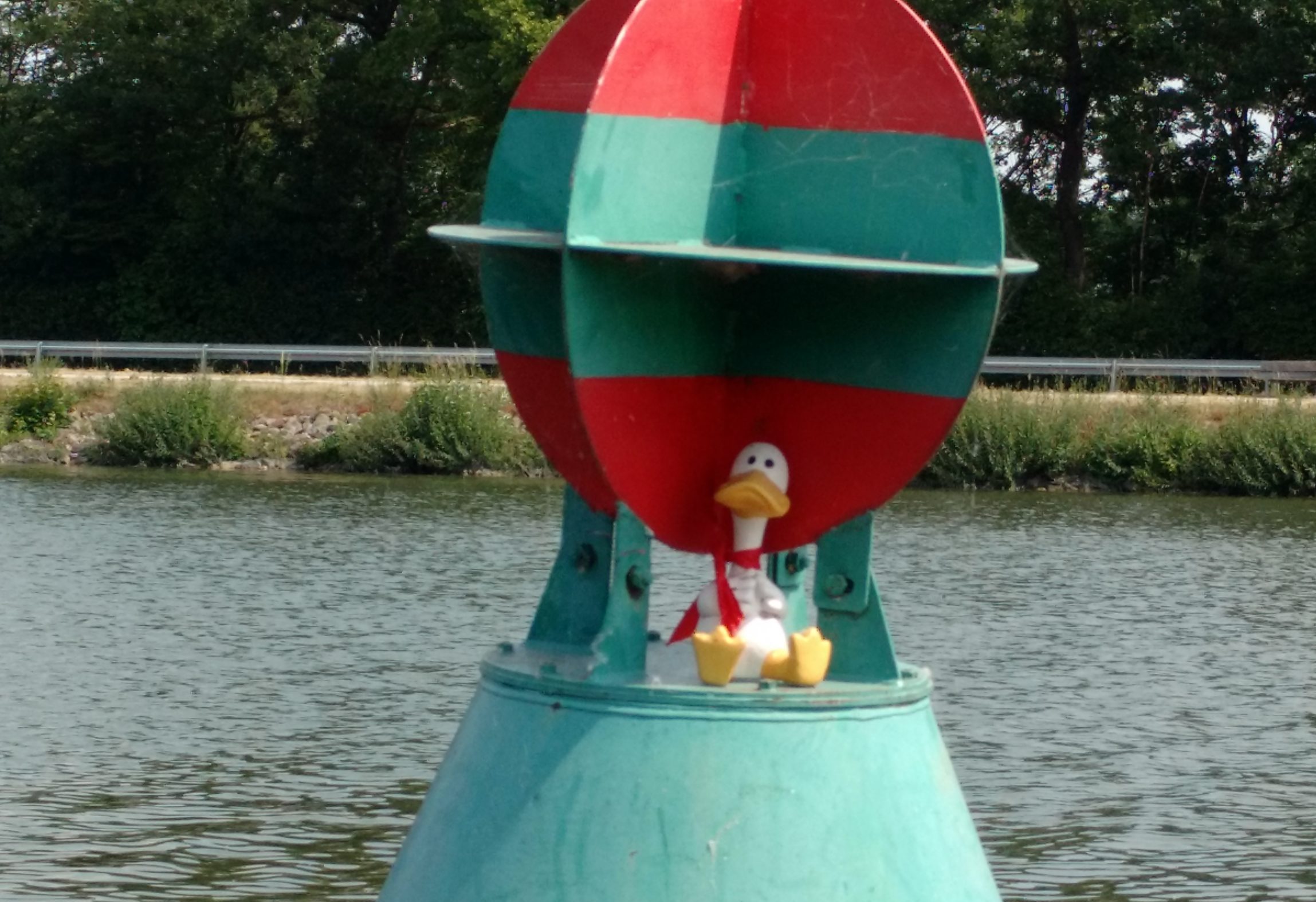 Schnupperrudern in den Sommerferien für Kinder und Jugendliche