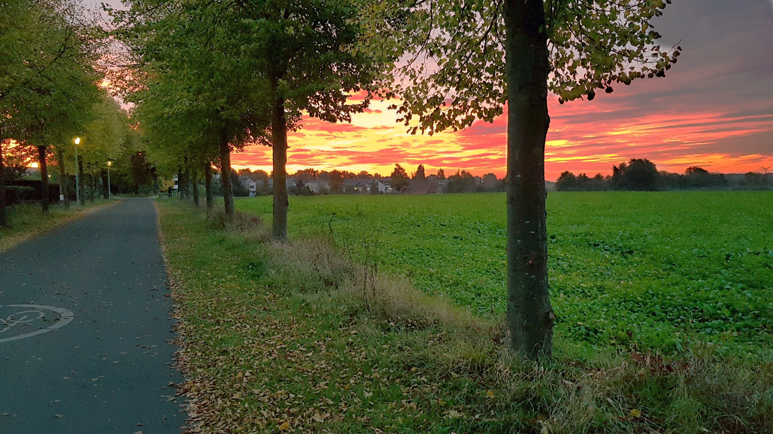 Neu: www.veloregion.de