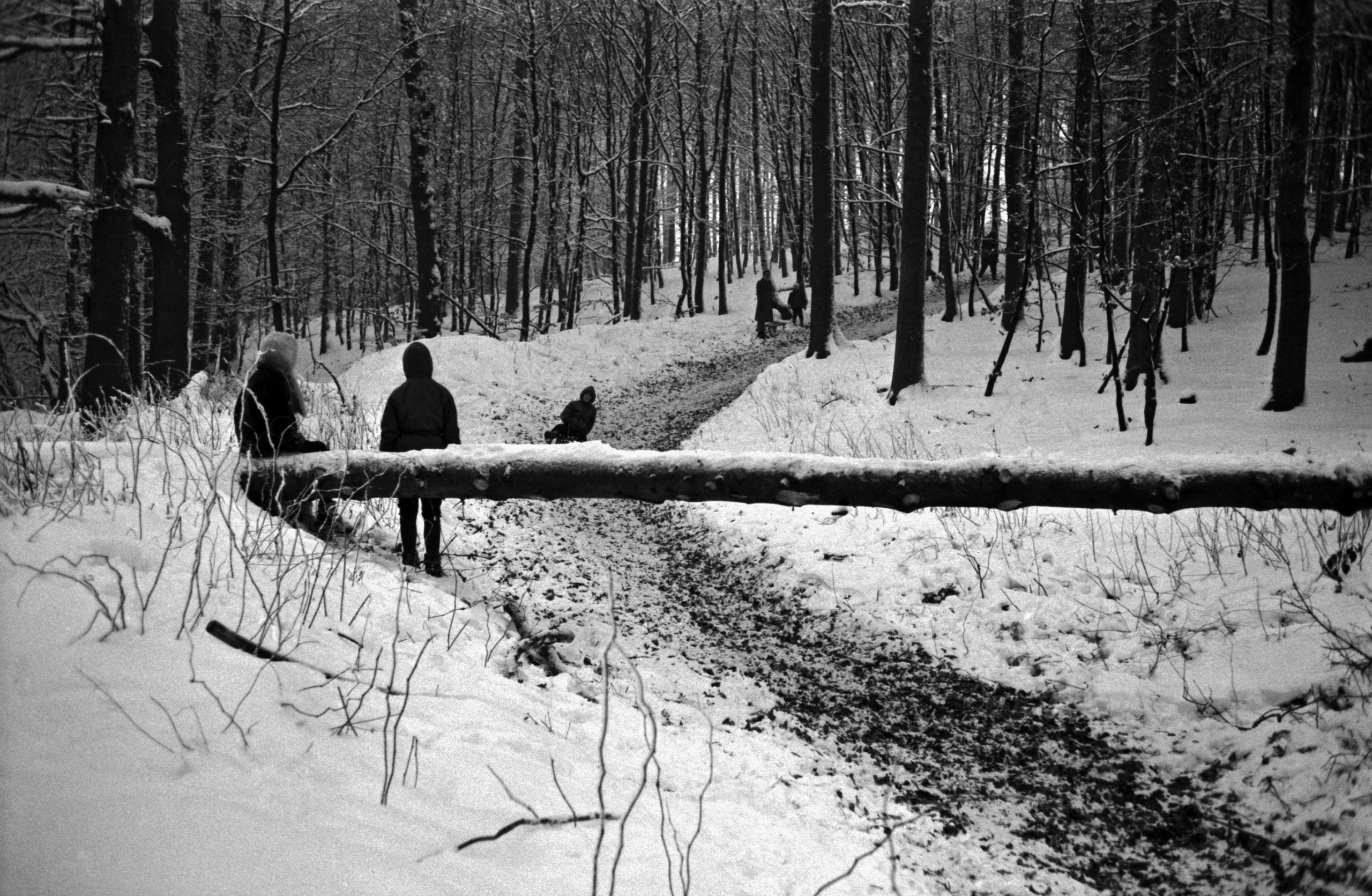 Vor 50 Jahren: Rodeln im Schnee