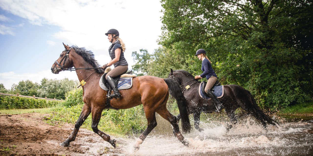 Komm, wir satteln die Pferde und reiten nach Laramie ..
