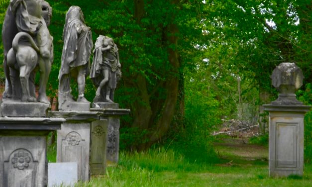 Öffentlicher „BusGang“ zum Tag des Wanderns 14. Mai 2022 – kostenfrei