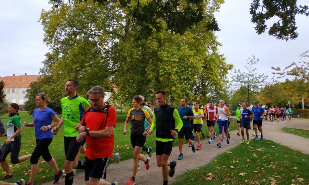 Steinhart500 Kennenlernlauf am 09.10.2022