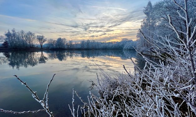 Nikolaus-Schwimmen im Badesee Saerbeck