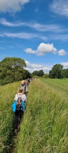 Menschen wandern hintereinander über ein blühendes Feld