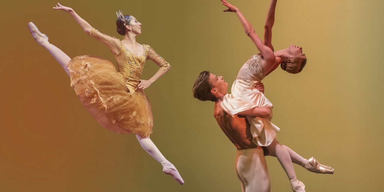 Achte Internationale Ballettgala – balletto and friends