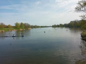 Ruder-Regatta auf dem Aasee: Ruderboote auf dem Wasser