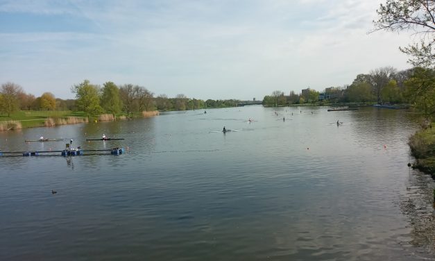 Ruder-Regatta auf dem Aasee