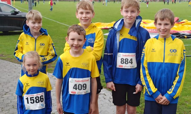 Blaugelber Rückenwind beim Teekottenlauf