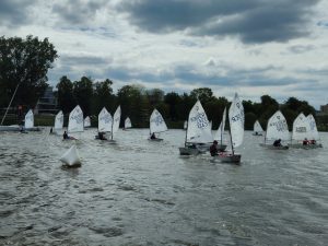 Bei der Black Swan Trophy: Segelboote auf dem Aasee