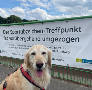 Banner: Sportabzeichen-treffpunkt zieht um