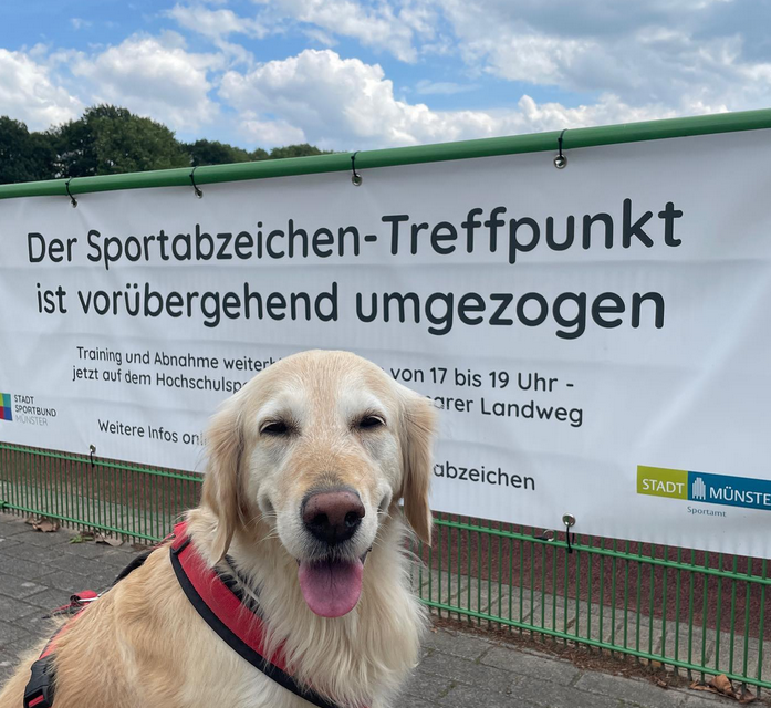 Sportabzeichen-Treff Sentruper Höhe zieht vorübergehend um