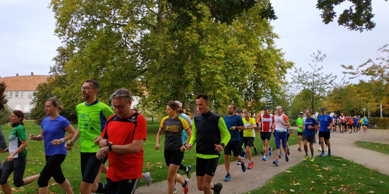 Steinhart500 Kennenlernlauf am 15.10.2023