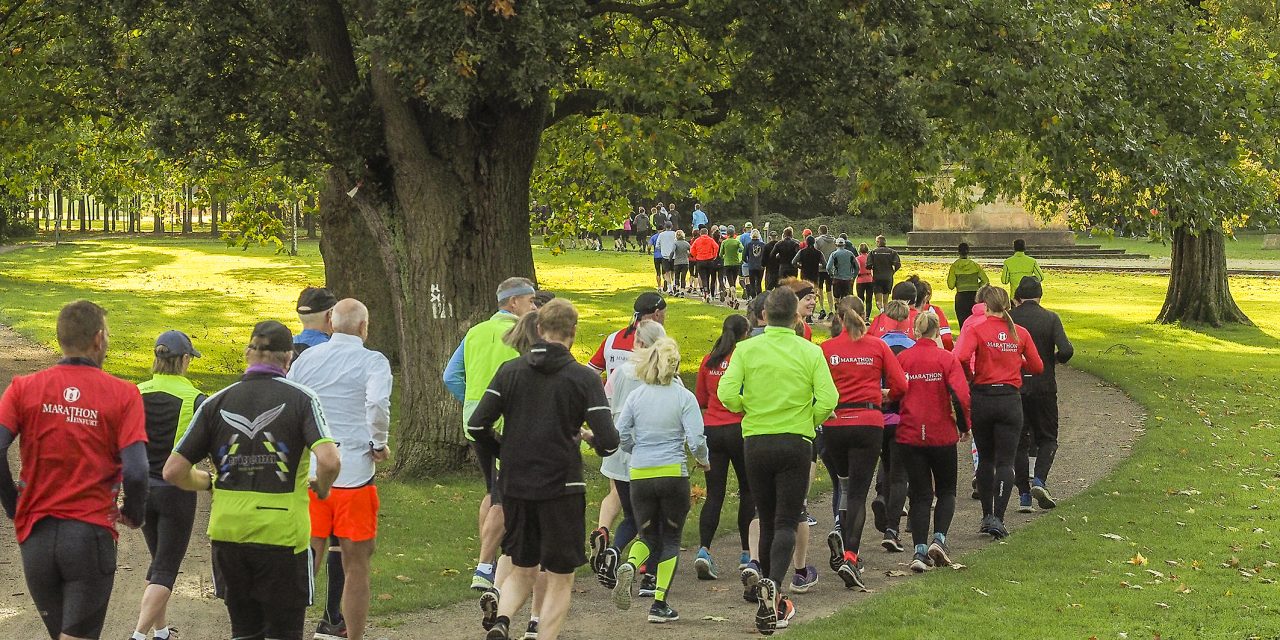 Rund 115 Teilnehmende beim Steinhart500 Kennenlernlauf am 15.10.2023
