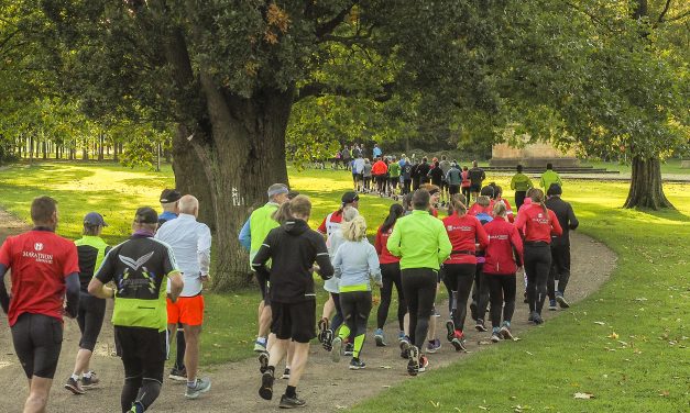 Rund 115 Teilnehmende beim Steinhart500 Kennenlernlauf am 15.10.2023