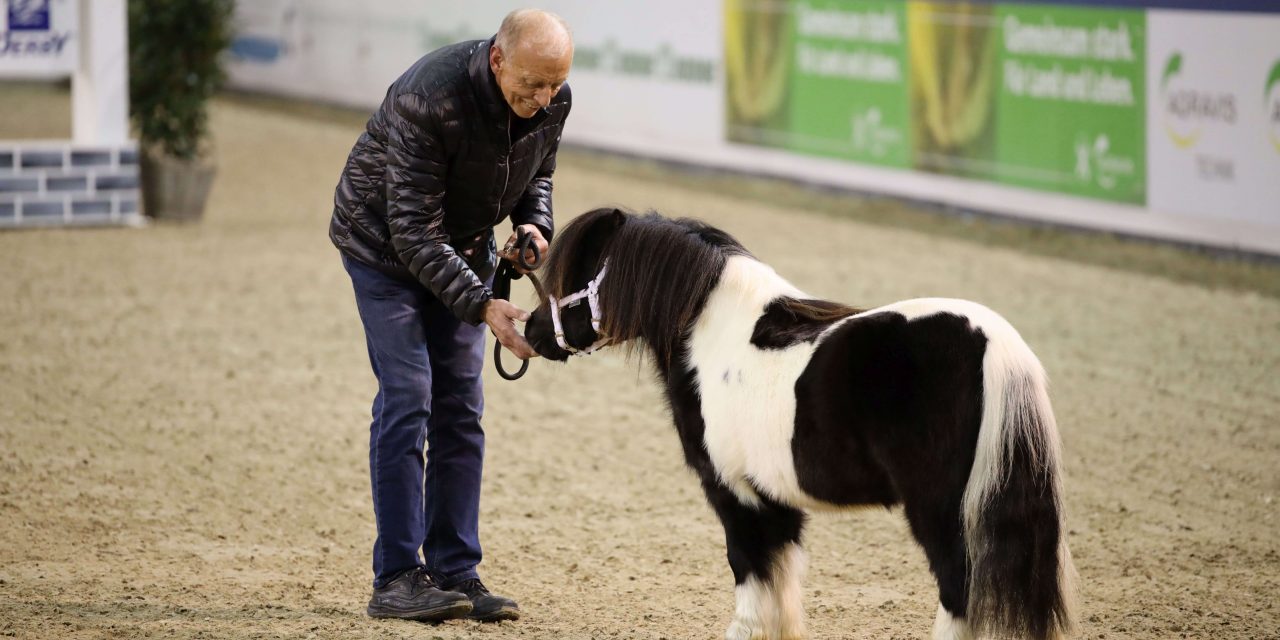 Derby-Hengstgala krönender Abschluss am ersten Tag des AGRAVIS-Cups