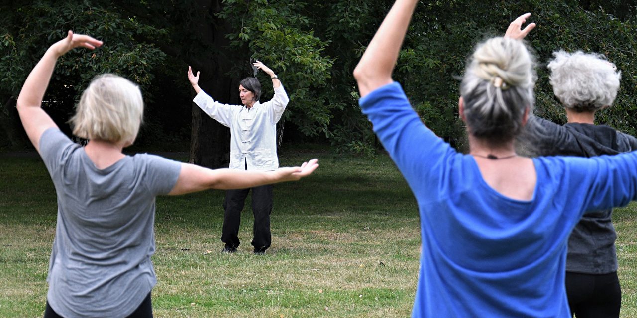 Taiji Qigong-Angebot ab Januar