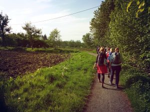 MünsterMarsch 2024: Teilnehmende auf der Strecke