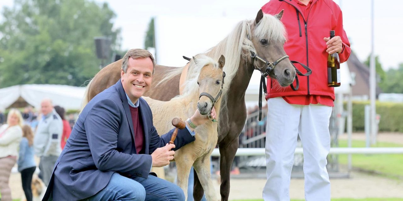 Das Pferd soll bleiben – Das Pferd ist geblieben