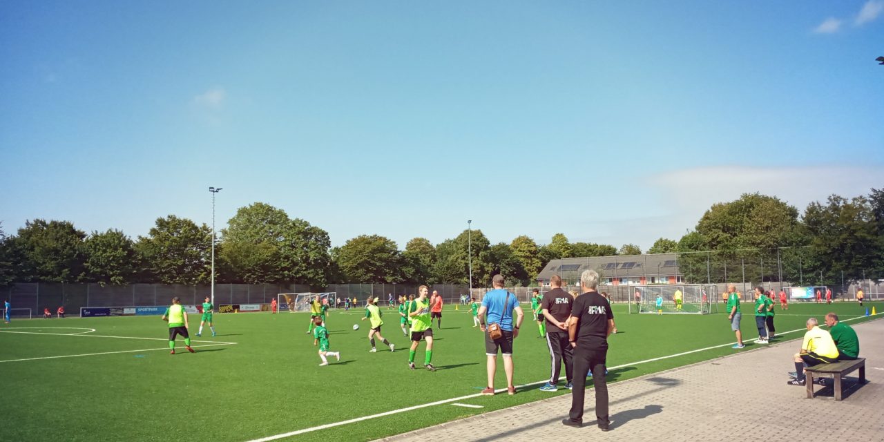 15. Wildemann Cup