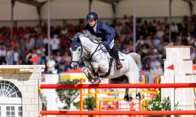 Olympiasieger Michael Jung kehrt zum AGRAVIS-Cup zurück
