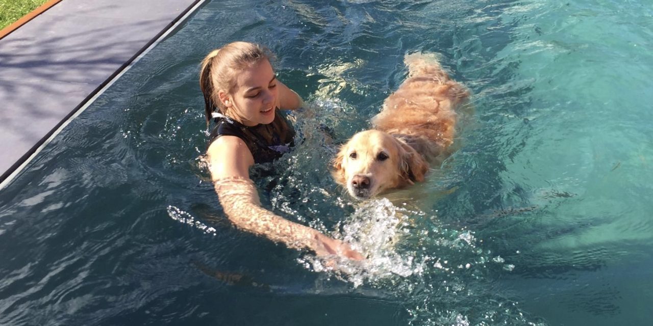 Sportler:innen für Uni-Studie gesucht! 🏃‍♂️🏃‍♀️