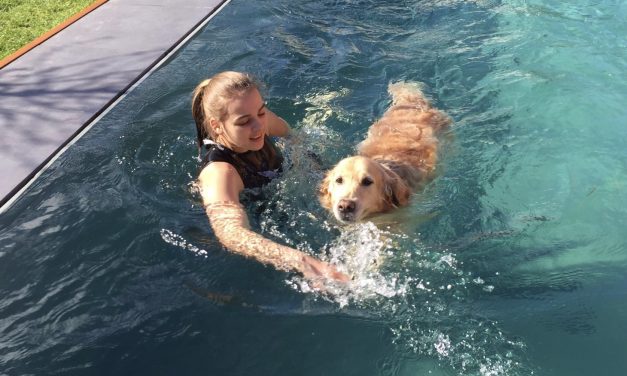 Sportler:innen für Uni-Studie gesucht! 🏃‍♂️🏃‍♀️